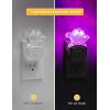 imageLOHAS Dinosaur Night Light for Boys Kids Nightlight Plug in DusktoDawn Velociraptor LED Night Lights Plug into Wall RGBSoft White 3000K 3 Lighting Modes Ideal for Nursery Room Bedroom DecorStegosaurus