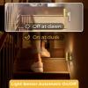 imageL LOHAS LED Night Light Automatic Night Lights Plug into Wall 2 Pack Nightlights with Light Sensor 3000K Soft White 0100LM Dimmable Modern Nightlight for Kids Bedroom HallwayElectroplated Gold