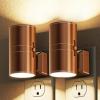 Electroplated Rose Gold