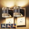 imageL LOHAS LED Night Lights Plug into Wall Dimmable Night Light 2pack 3CCT Adjustable Light Color and Brightness MultiScenario use for Living Room Kitchen Hallway BathroomBubble02