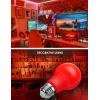 imageL LOHAS LED Red LED Light Bulbs A19 9W 60W Equivalent Christmas Red Colored Light Bulb Indoor E26 Base NonDim 4 PackRed