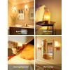 imageLOHAS LED C7 S6 Night Light Bulb 15 Watt Light Bulbs Equivalent15W Mini LED Bulb Candelabra E12 Base SoftWarm White 3000K LED Small Light for Bedroom Salt Lamp6 PACKSoft White