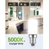 imageLOHAS LED C7 S6 Night Light Bulb 15 Watt Light Bulbs Equivalent15W Mini LED Bulb Candelabra E12 Base SoftWarm White 3000K LED Small Light for Bedroom Salt Lamp6 PACKDaylight