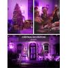 imageLOHAS Purple LED Light Bulbs 5W A15 Colored Light Bulb with E26 Medium Base 40 Watt Equivalent Purple Light Bulbs Holiday Lighting Home Lighting 2 Pack