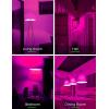 imageLOHAS Purple LED Light Bulbs 5W A15 Colored Light Bulb with E26 Medium Base 40 Watt Equivalent Purple Light Bulbs Holiday Lighting Home Lighting 2 Pack