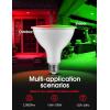 imageLOHAS Yellow Bug Light Bulbs Outdoor PAR38 LED Flood Light Outside 150200W Equivalent 2000K NonAttracting 15W 1100LM NonDimmable Amber Porch Lights E26 Base for Patio Backyard Party 2 PackRedgreen