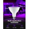 imageLOHAS Yellow Bug Light Bulbs Outdoor PAR38 LED Flood Light Outside 150200W Equivalent 2000K NonAttracting 15W 1100LM NonDimmable Amber Porch Lights E26 Base for Patio Backyard Party 2 PackPurple