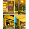 imageLOHAS Yellow Bug Light Bulbs Outdoor PAR38 LED Flood Light Outside 150200W Equivalent 2000K NonAttracting 15W 1100LM NonDimmable Amber Porch Lights E26 Base for Patio Backyard Party 2 PackYellow