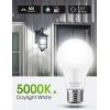 imageL LOHAS LED 40W Equivalent A19 Amber Porch Light Bulbs 6W Dusk to Dawn Sensor Yellow Bug Light Bulbs for Outdoor 2000K E26 4 PackDaylight White