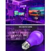 imageL LOHAS LED Halloween Purple LED Light Bulbs Outdoor A19 9W60W Equivalent Purple Colored Light Bulb E26 Base NonDim 2Pack