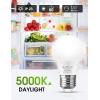 imageL LOHAS LED Refrigerator Light Bulb 40W Equivalent 120V A15 Fridge Waterproof Bulbs 5W E26 Medium Base Daylight White 5000K for Freezer Home Kitchen Lighting Nondimmable 2 Pack