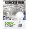 imageLOHAS A19 LED Light Bulbs 150W Equivalent 17 Watt Daylight White 5000K LED Bulbs 1600 Lumen EnergyEfficient LED BulbUL Listed E26 Medium Base NonDimmable 4 Pack