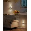 imageL LOHAS LED Night Light Night Lights Plug Into Wall 2 Pack Decorative Nightlight with Light Sensor 0100LM Dimmable Nightlights Daylight Wall SconceStyle Acrylic Nitelight for Bathroom HallwayFrostedDaylight