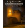 imageL LOHAS LED Night Light Night Lights Plug Into Wall 2 Pack Decorative Nightlight with Light Sensor 0100LM Dimmable Nightlights Daylight Wall SconceStyle Acrylic Nitelight for Bathroom HallwayFrostedAmber