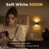 imageL LOHAS LED Night Light 3000K Bubble Night Lights Plug into Wall Acrylic Night Lights with DusktoDawn Sensor Adjustable BrightnessSoft White Plug in Nightlights for Rooms Bathroom HallwayBubble3000K2