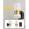 imageL LOHAS LED Night Lights Plug into Wall2Pack Acrylic Plug in Night Light with Dusk to Dawn Sensor3CCT 1600K2700K5000KBrightness Adjustable180Rotating Nightlight for Adults Bathroom BedroomPPSoft White