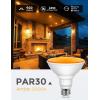 imageLOHAS Dusk to Dawn Yellow Bug Light Bulbs Outdoor PAR30 LED Flood Light Outside 75W Equivalent NonDimmable Porch Lights11W E26 Base for Patio Backyard Party 2 Pack