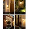 imageL LOHAS LED Red Light Bulbs Outdoor Dusk to Dawn Sensor A19 Porch Lights 40W Equivalent 6W Colored Bulb AutoOnOff E26 Base for Christmas Party Wedding Patio Backyard  4 PackWarm White