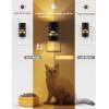 image2 pack Dusk to Dawn night light2 pack Motion Sensor night light