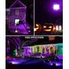 imageL LOHAS LED Purple Halloween Flood Light Outdoor   50W Plug in Flood Light IP66 Waterproof Halloween Decorations 2300lm Outdoor Lights for Yard Garage Party UL Listed 2 PackPurple