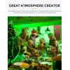 imageChristmas Red Green Light Bulbs outdoor with Dusk to Dawn Sensor