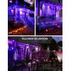 imageHalloween Orange Purple LED Light Bulbs BR30 Bulbs2Pack PAR38 Bulbs2Pack