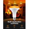 imageHalloween Orange Purple LED Light Bulbs BR30 Bulbs2Pack PAR38 Bulbs2Pack