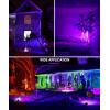 imageLOHAS 10W Dusk to Dawn Outdoor Lighting Auto OnOff 3000K Landscape Outdoor Spotlight IP66 Waterproof Spot Lights for Yard Garden House Pathway Plant2 PackPurple