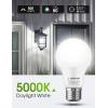 imageLOHAS Dusk to Dawn Sensor Light Bulb 40W Equivalent Smart Sensor LED Bulb 6W Auto OnOff Outdoor Light Bulbs Daylight 5000K A19 LED Bulb E26 Base 500LM Bright Light Bulb for Garage Porch 6 Pack