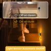imageL LOHAS LED Night Lights Plug into Wall 2 Pack Modern Night Light with Dusk to Dawn Sensor Dimmable Plug in Night Light Adjustable Brightness 5000K White for Bedroom Bathroom HallwayAmber