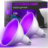 imageLOHAS Purple Light Bulbs 6 Pack LED Light Outdoor Colored Porch Light Bulb E26 Base Ideal for Home Lighting Holiday Party Decoration