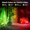 imageL LOHAS LED Green Christmas Spotlight 2pack3000K Warm White Spotlight 2pack